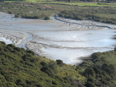 Mudflats